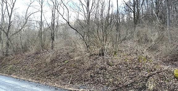 4th image of Patterson Rd