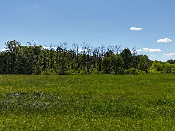 3rd image of V/l Dredge Ditch Rd Lot Wp001