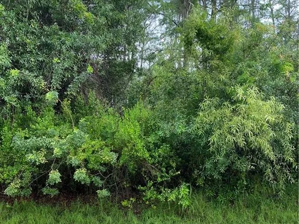  16th ST NE, NAPLES, FL 34120