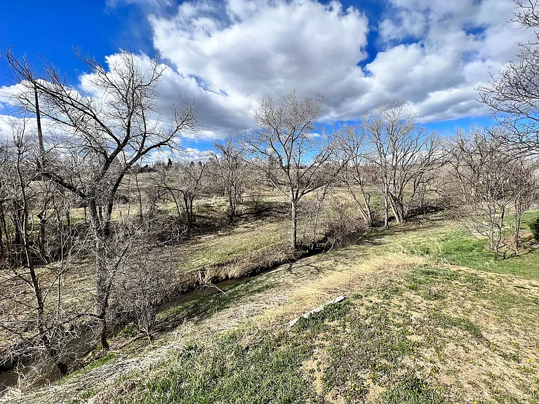 Immerse yourself in this serene meadow view, a perfect escape into nature.