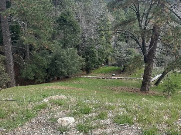 0 Fern Cyn Lot 30, Cedarpines Park, CA 92322