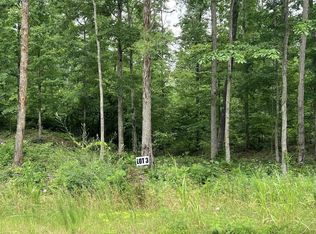 3 Slaughter Rd, Primm Springs, TN 38476