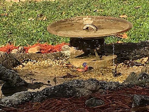 Water feature