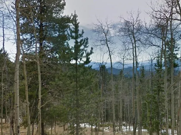 11173 Conifer Mountain Road, Conifer, CO 80433