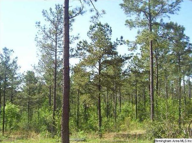 1st image of 14285 County Road 15