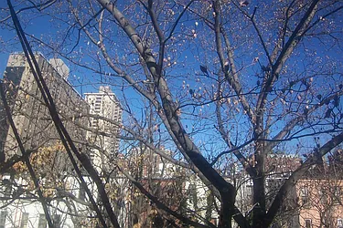 Rented by Susan Finkel, LREB