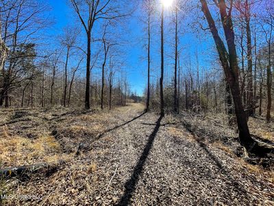 2 Robinson Springs Rd, Flora, MS, 39071