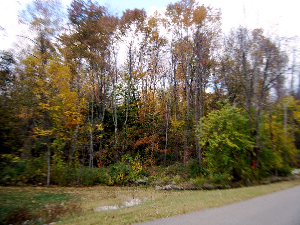 1st image of 133 Fallen Ash Dr