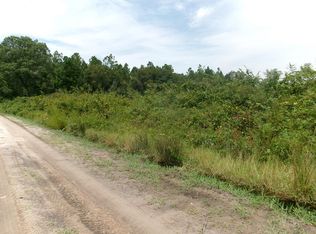 2 Herman McClellan Rd, Nashville, GA 31639