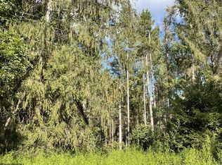 5-998 Hanlin Rd, Bruceton Mills, WV 26525