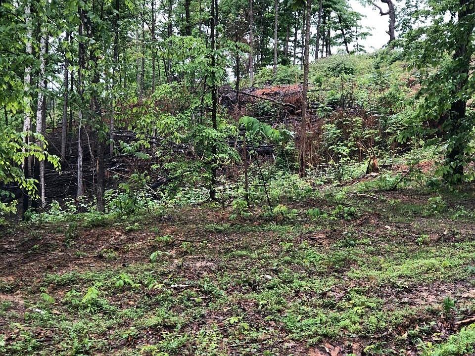 2nd image of 217 Madeline Ln