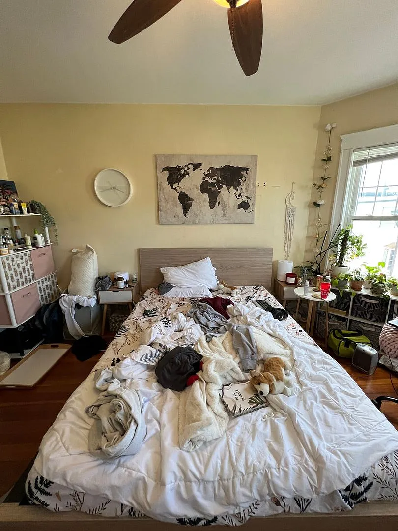 340 Beacon St #2B Somerville MA 02143 — Photo 4