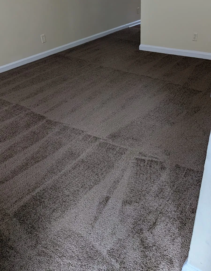 2 bed, 1.5 bath, $1,250 — Photo 4
