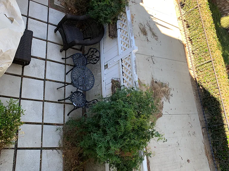 Virginia Ave — Photo 6