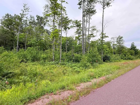 Greenway Dr Unit 4, Houghton, MI 49931