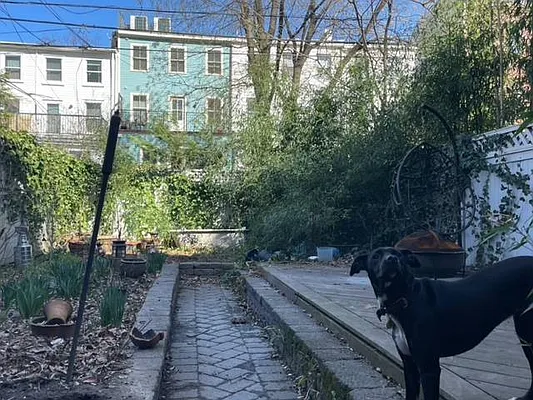 Rented by Stipple Inc. | media 21