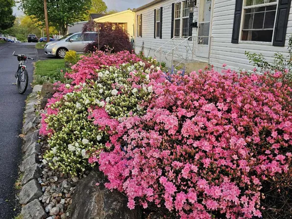 2304 Brownsville Rd Trailer L22, Feasterville Trevose, PA 19053