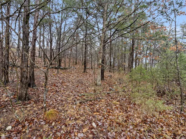 Lot 24 Spring Court, Branson, MO 65616