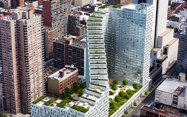 Rented by Two Trees | media 11