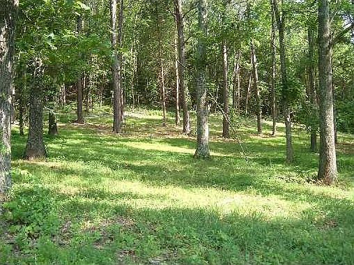 5th image of Beaver Shores Rd