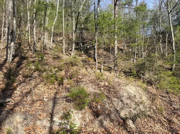 LOT 15 Linwood Ct, Sevierville, TN 37876