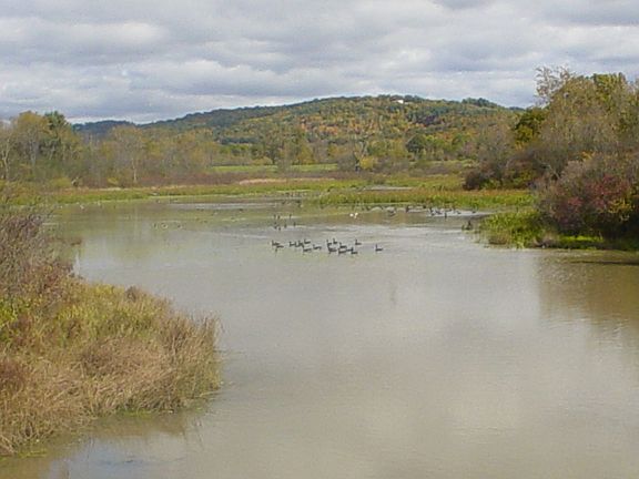 Large private pond