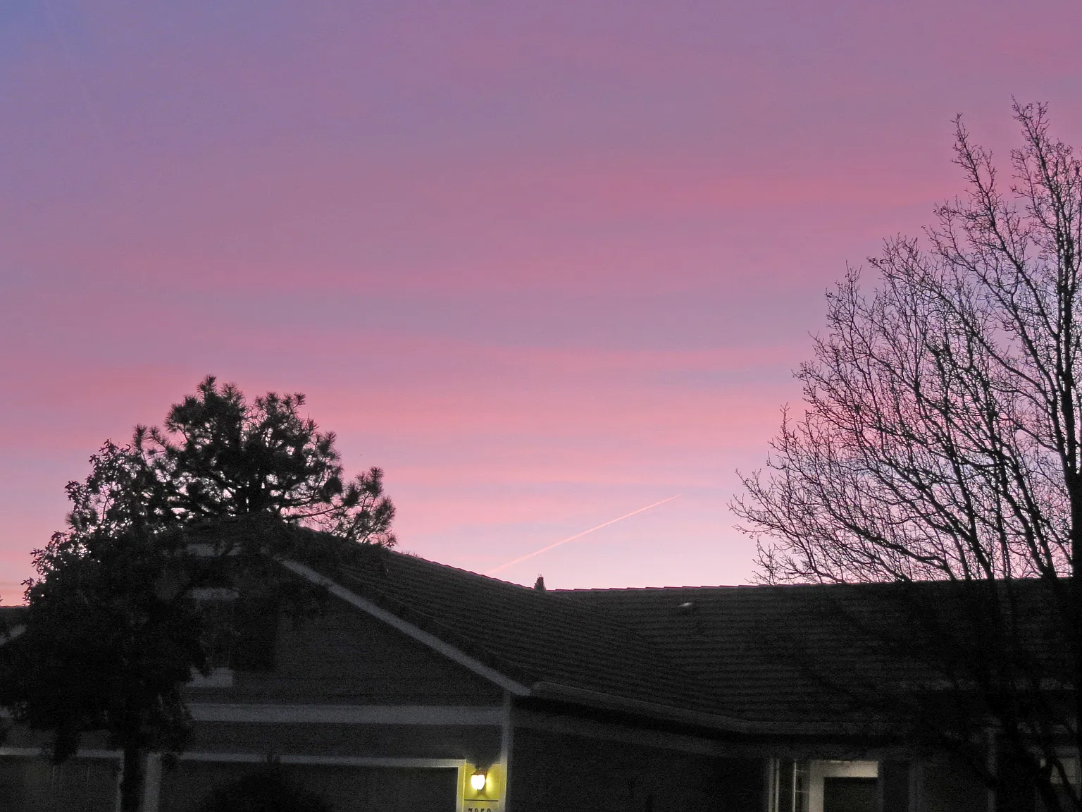 3 bed, 1660 sqft, $2,800 — Photo 3