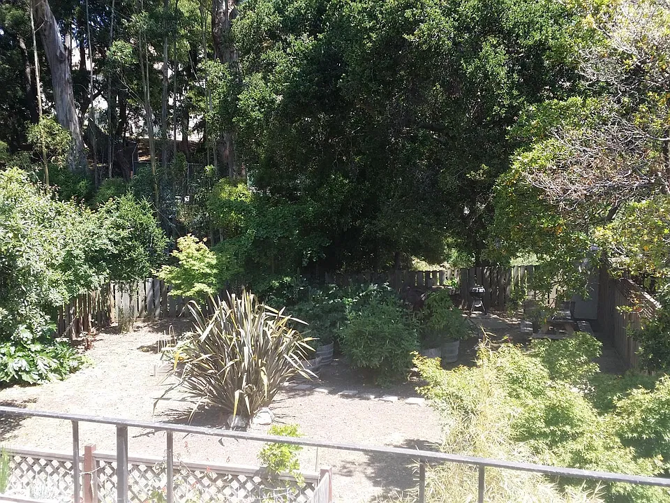 View of garden from Balcony