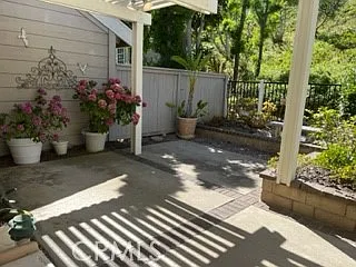 15 Elderberry — Photo 131