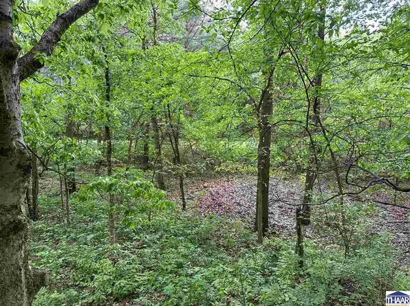 LOT 1 N Cory Staunton Rd, Brazil, IN 47834