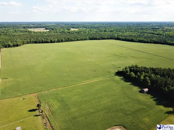 456 W Deer Rd, Timmonsville, SC 29161