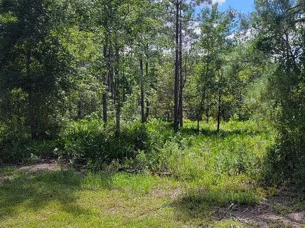 4329 BONDARENKO Road, Keystone Heights, FL 32656