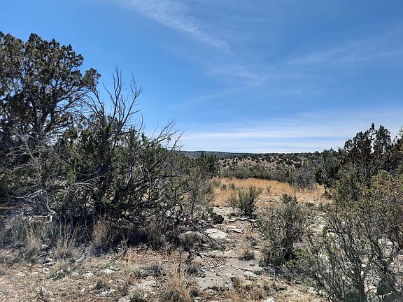 5th image of 29118 Stagecoach Ln