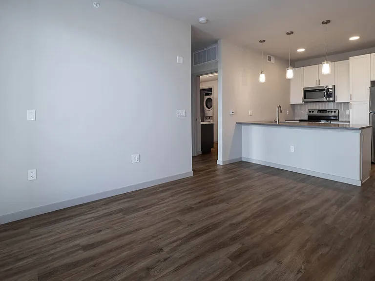 Living Room with Hard Surface Flooring