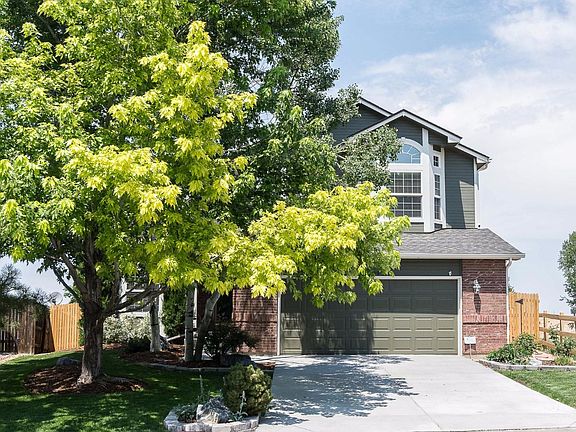 Cooling Shade Trees in Summer