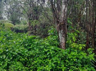 3 Road, Volcano, HI 96785