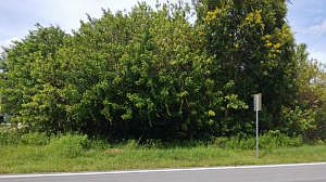 1st image of 2462 SW Cameo Blvd