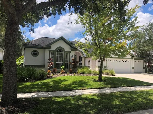 10206 Shadow Branch Dr, Tampa, FL 33647