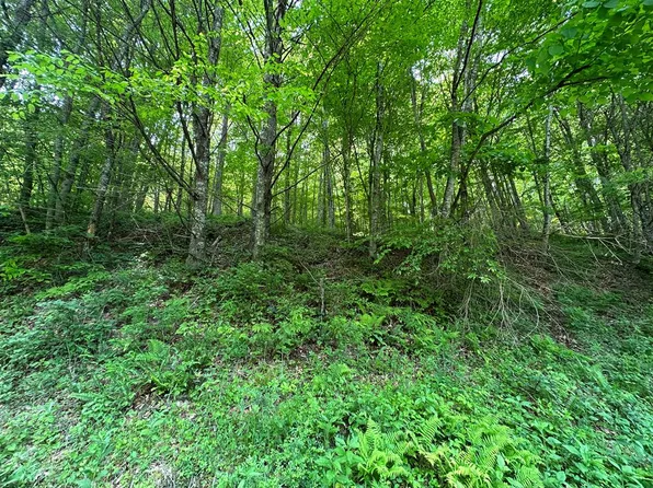 19 Poplar Hill Dr, Dugspur, VA 24325