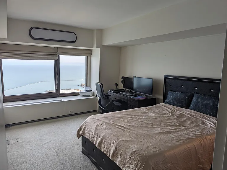 175 E Delaware Pl #7907 — Photo 3