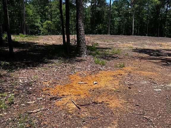 4th image of 1779 County Road 54