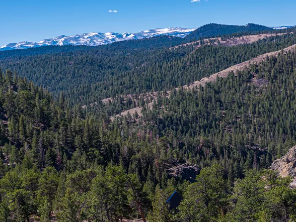 2737 Red Ashby Rd, Livermore, CO 80536