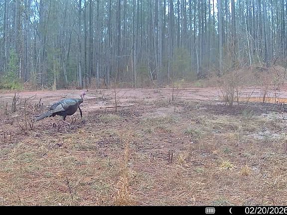 5th image of 0 Kennedy Rd