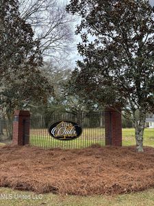 LOT 32 Huckleberry Ln LOT 32, Moss Pt, MS, 39562