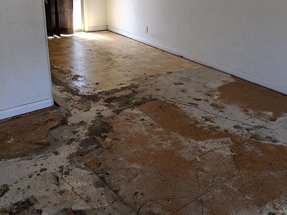 4th image of 5311 Primrose Dr