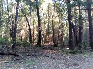 3 Just Rd, Colfax, CA 95713