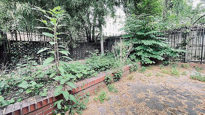 1st image of 403 8th St #1