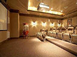~Movie Theatre~