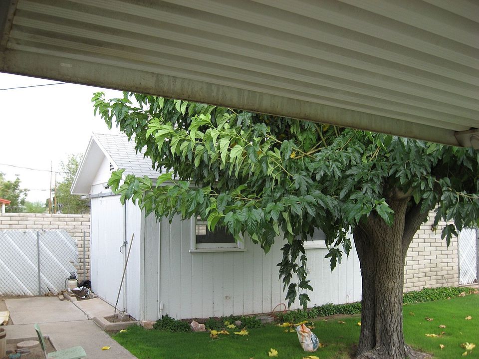 2nd image of 1304 S 11th Ave