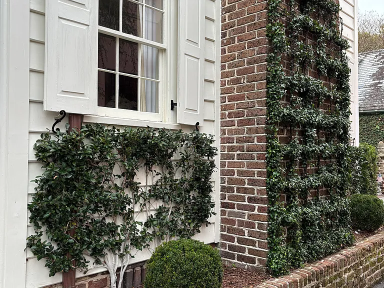 8 Ford Ct — Photo 5